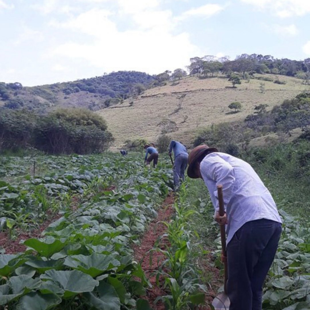 Agricultores de Teresópolis recebem prêmio na COP26 Agricultores de Teresópolis recebem prêmio na COP26