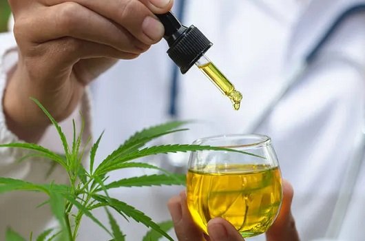 Grupo médico inicia estudos sobre o uso da cannabis medicinal na Genipapo livraria